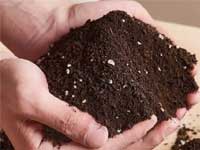 臭氧在农业种植（土壤基