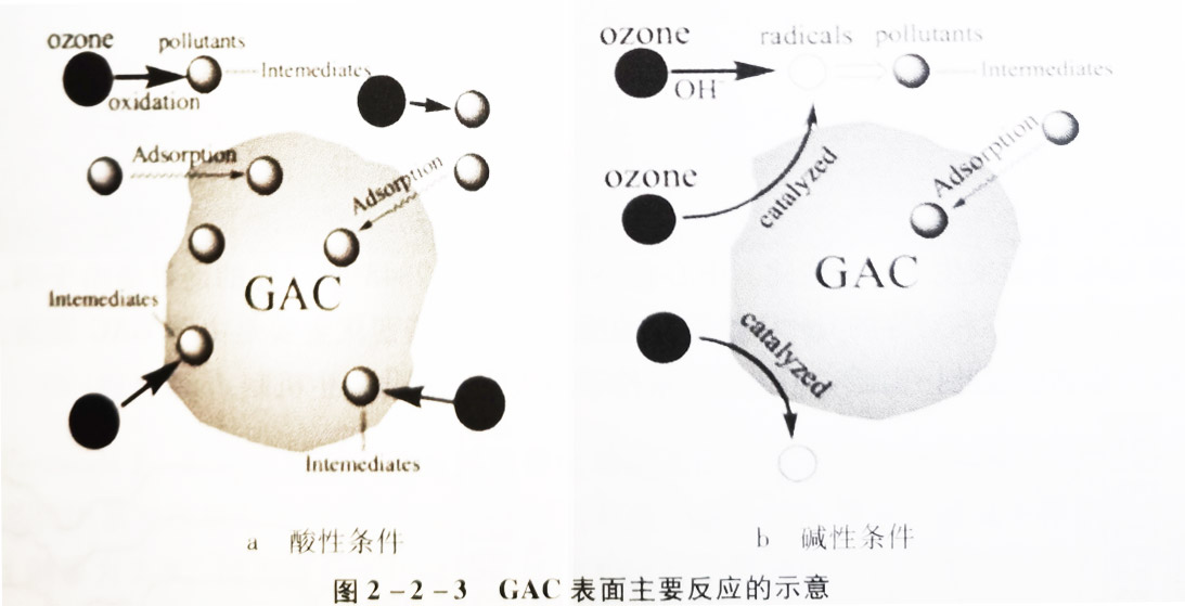 Schematic representation of the main reactions on the GAC surface