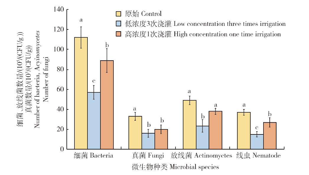 低浓度3次浇灌和高浓度1次浇灌土壤中微生物数量