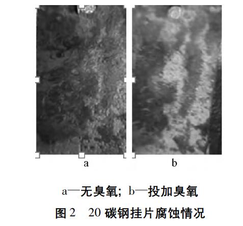 臭氧实验流程