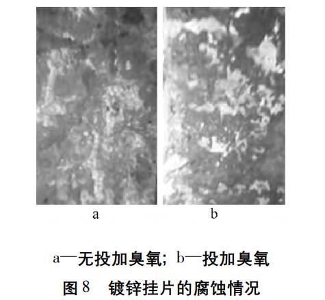 臭氧实验流程