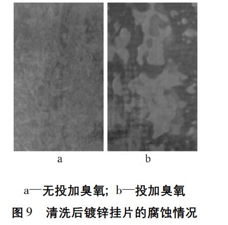 臭氧实验流程