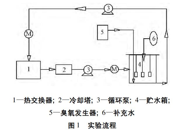 臭氧实验流程