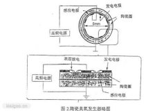 影响臭氧发生的主要因素