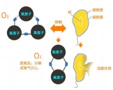 借助臭氧杀毒灭菌，打赢新冠疫情之役